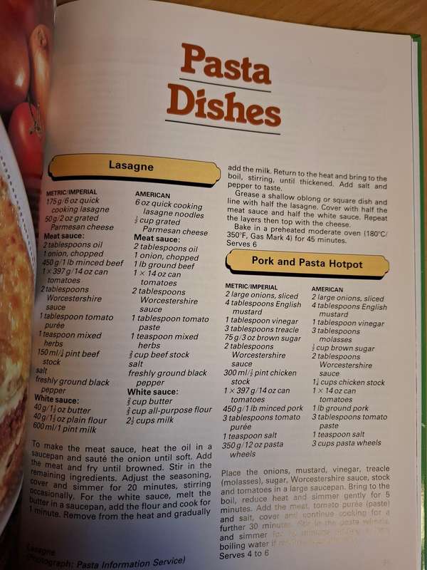 100 Mince Dishes Edited by Stella Joyce  (Hardcover)