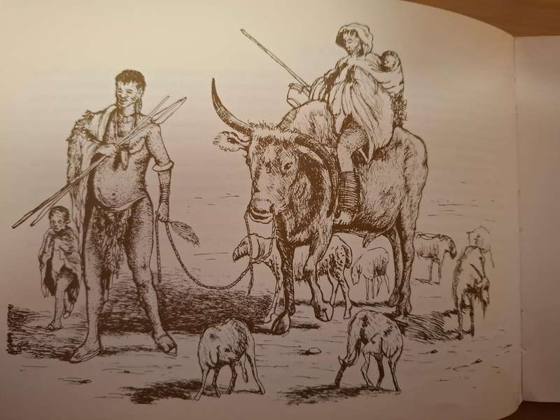 Shuter`s History Reference Library - Men of Men - Herders : Candy Malherbe (Paperback)
