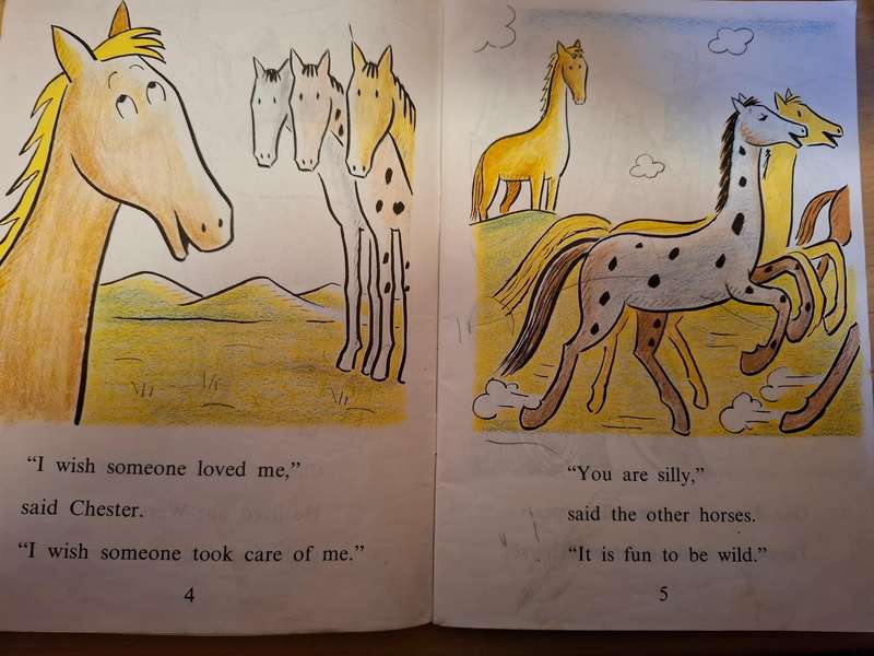 Chester : Syd Hoff  (Paperback)  AN I CAN READ BOOK