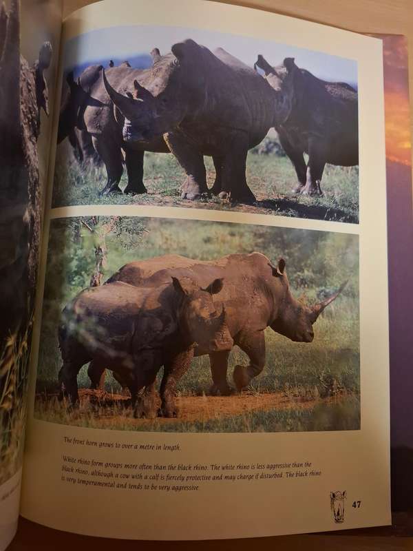 The Big Five - A Photogenic Souvenir : Paul and Julia Nash  (Hardcover)