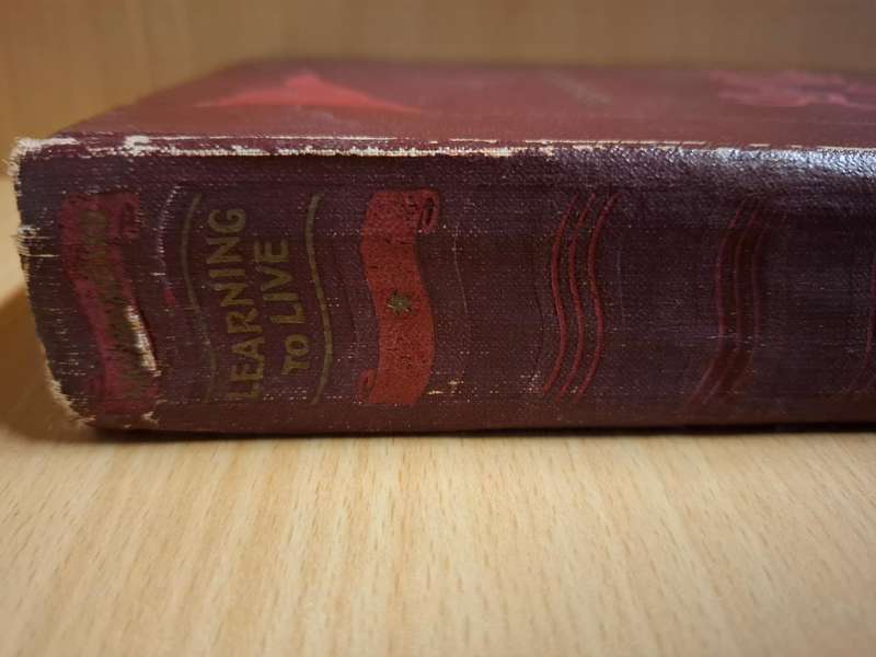 Learning to Live - Flags on The Battlements: A.S. Makarenko  (Hardcover)