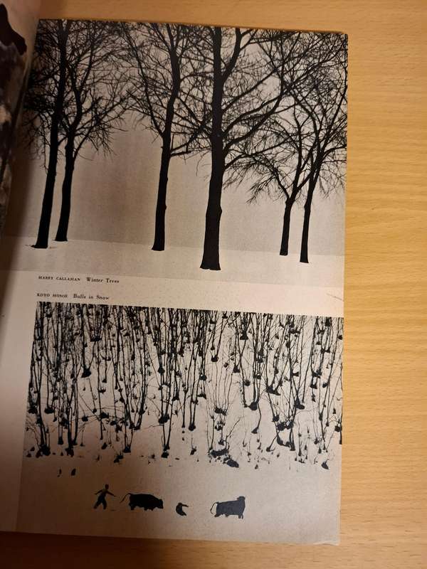 1960 Photography Annual 10th Anniversary Issue : Don Briggs