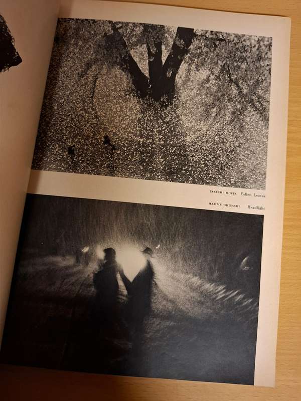 1960 Photography Annual 10th Anniversary Issue : Don Briggs
