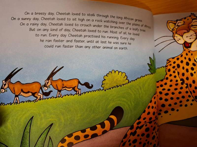 How Cheetah Got His Tears : Avril van der Merwe (Paperback)