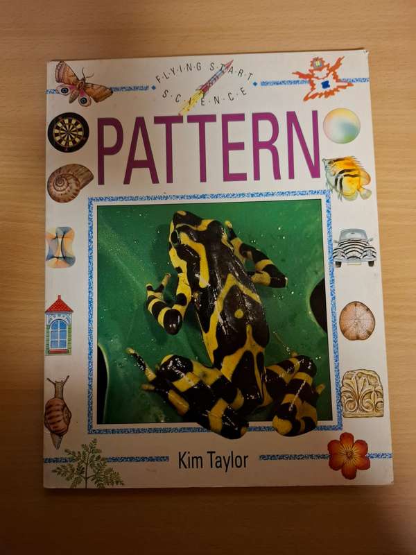 Flying Start Science - Pattern : Kim Taylor  (Paperback)