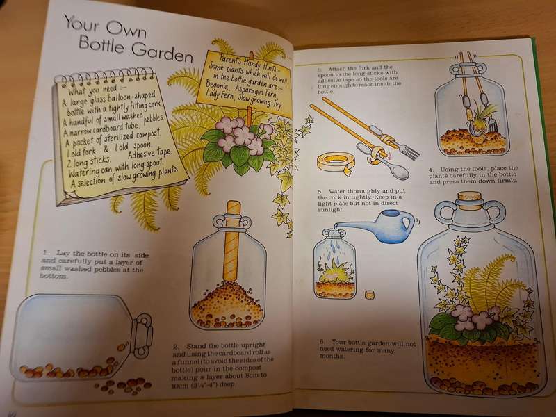 Craft Ideas From Nature : Myrna Daitz & Shirley Williams  (Hardcover)