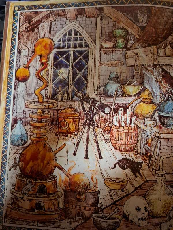 The Magician of Cracow : Krystyna Turska (Hardcover)