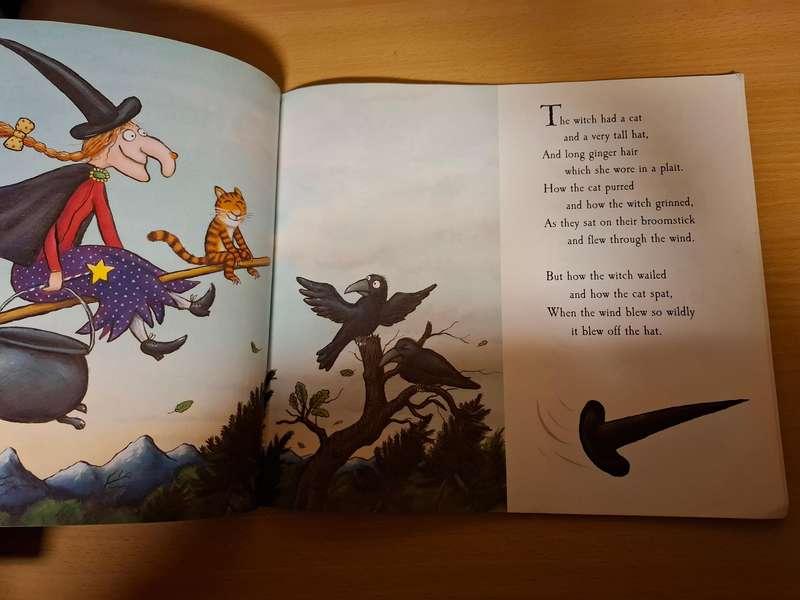 Room on The Broom : Julia Donaldson  (Paperback)