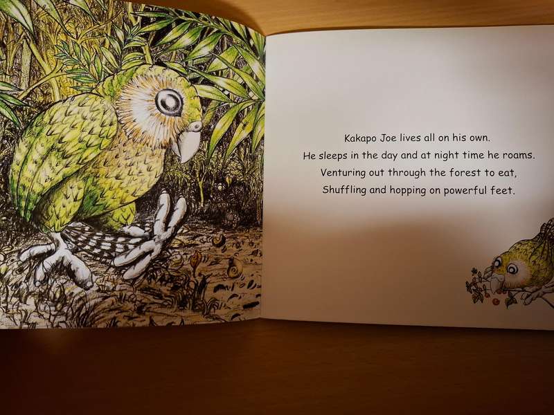 Joe the Kakapo by Janet Martin  (Paperback)