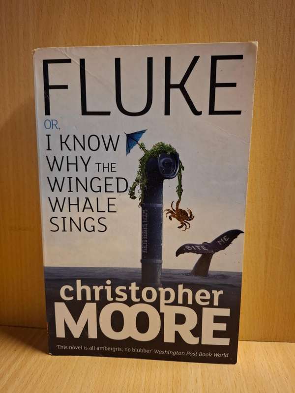 Fluke - I Know Why the Winged Whale Sings: Christopher Moore (Paperback)