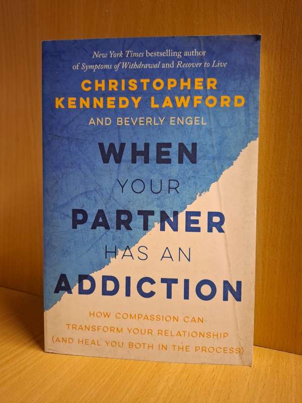 When Your Partner Has an Addiction : Christopher Kennedy Lawford  (Paperback)