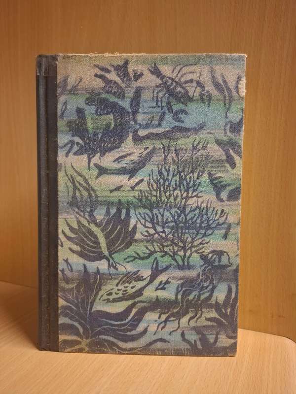 Twenty Thousand Leagues Under the Seas by Jules Verne  (Hardcover)