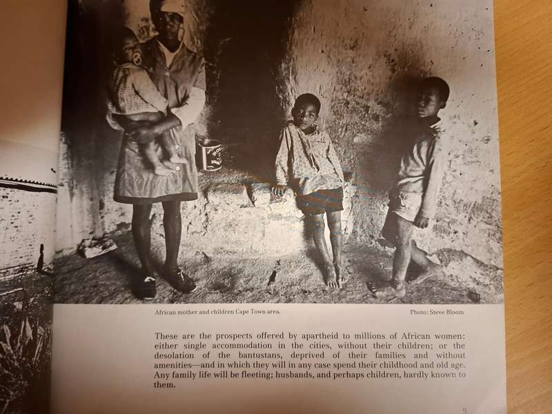 Women Under Apartheid  (Paperback)