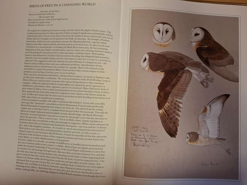 Hunters of The African Sky : Peter Steyn, Graeme Arnott   (Hardcover)