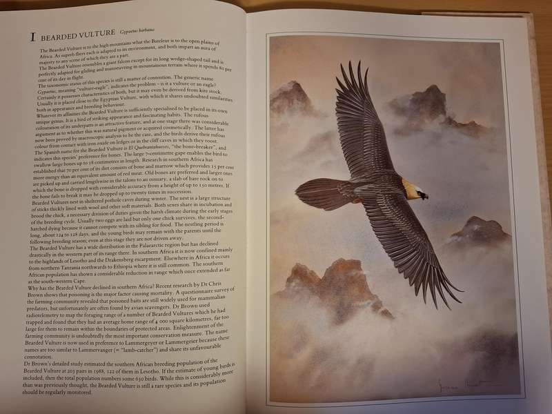 Hunters of The African Sky : Peter Steyn, Graeme Arnott   (Hardcover)