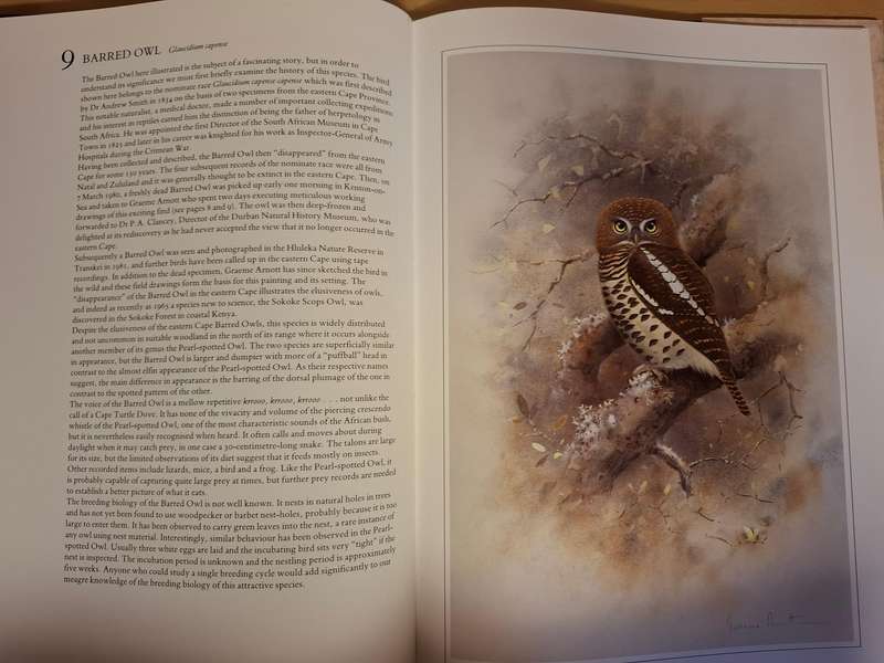 Hunters of The African Sky : Peter Steyn, Graeme Arnott   (Hardcover)