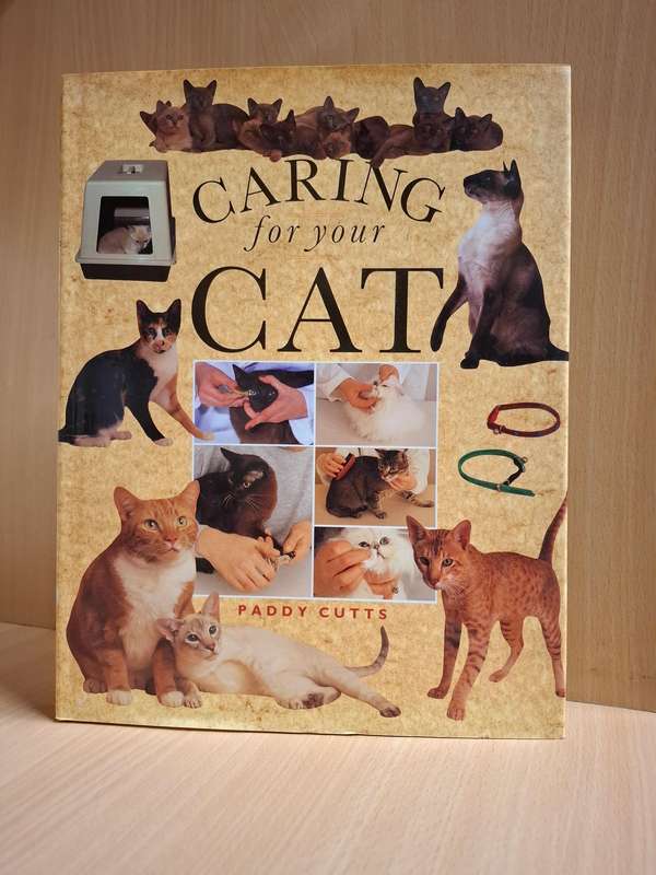 Caring for Your Cat : Paddy Cutts  (Paperback)