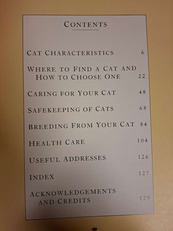 Caring for Your Cat : Paddy Cutts  (Paperback)