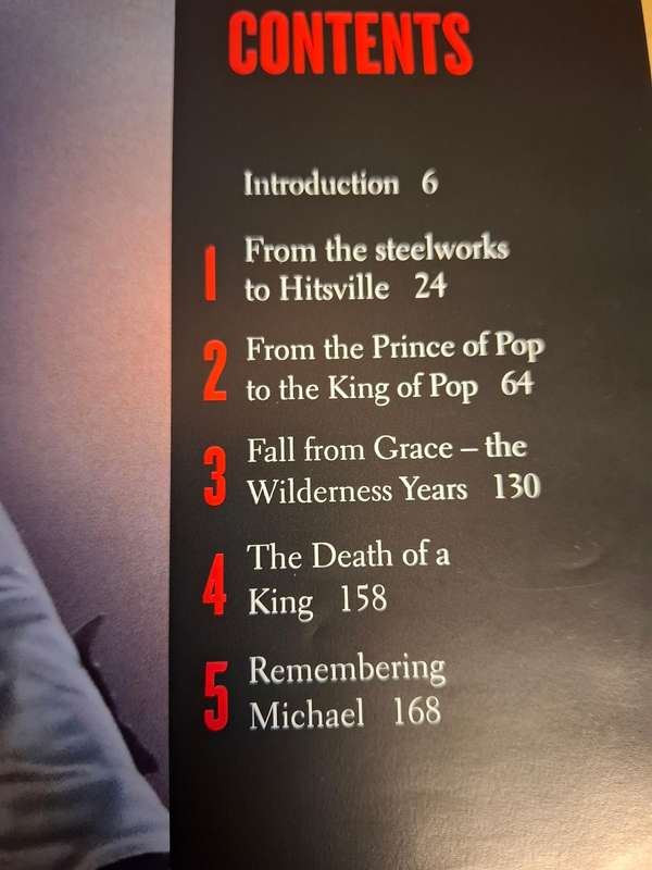 Michael Jackson - A Tribute to The King of Pop : James Aldis  (Hardcover)