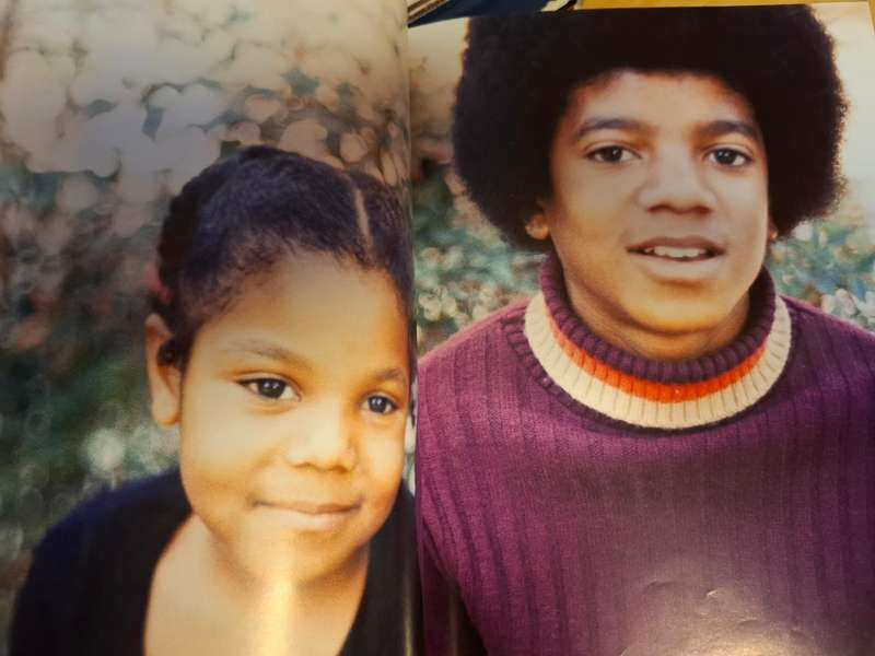 Michael Jackson - A Tribute to The King of Pop : James Aldis  (Hardcover)