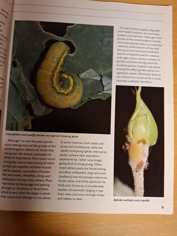 Best Garden Doctor : Stefan Buczacki  (Paperback)