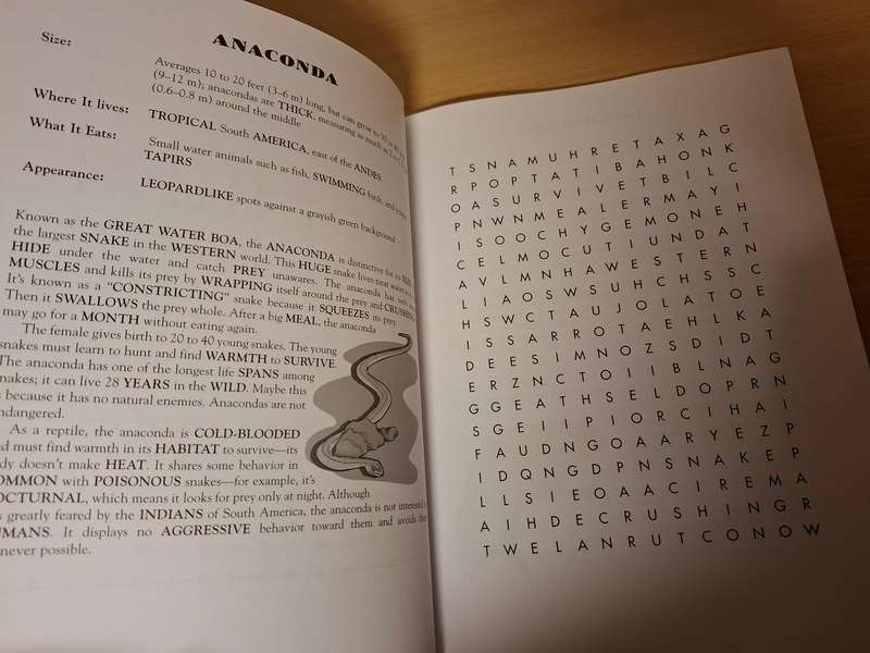Wildlife Word Search : Jean Joachim (Paperback)