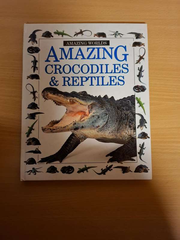 Amazing Crocodiles & Reptiles  (Hardcover)