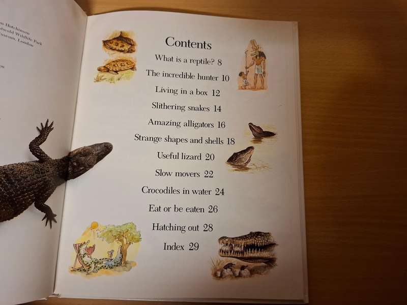 Amazing Crocodiles & Reptiles  (Hardcover)