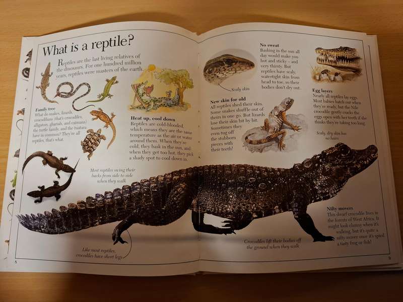 Amazing Crocodiles & Reptiles  (Hardcover)