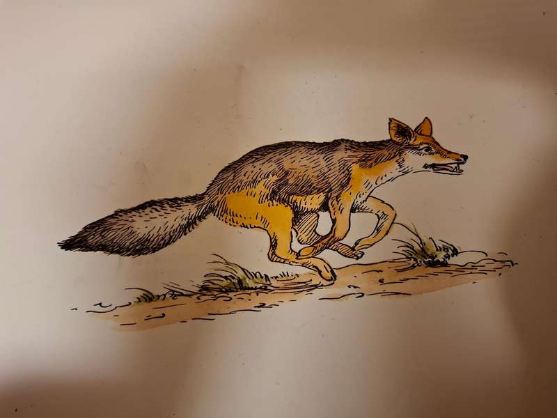 Fabeln/Fables : Joachim Voigts
