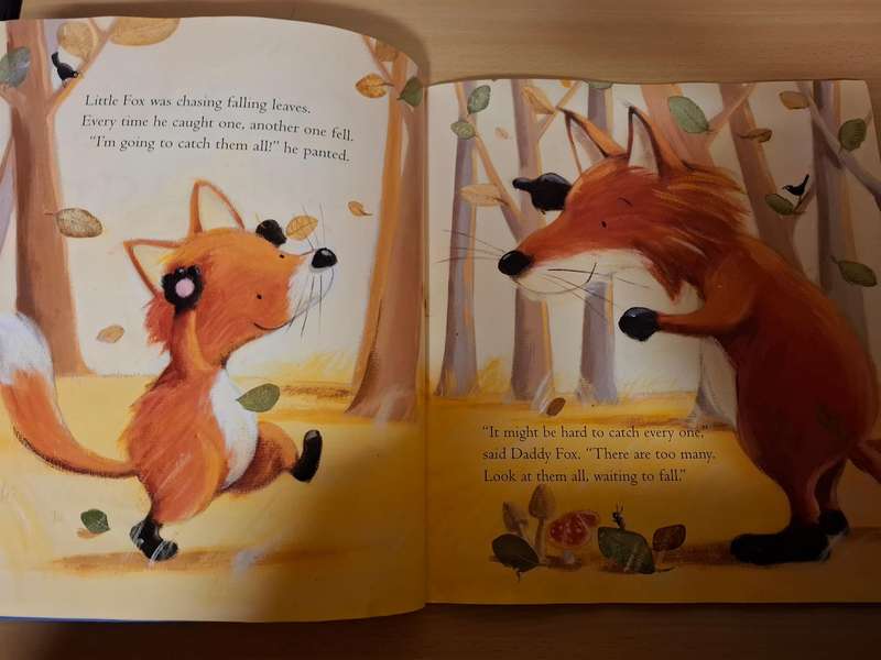 Daddy`s Little Star : Janet Bingham & Rosalind Beardshaw  (Paperback)