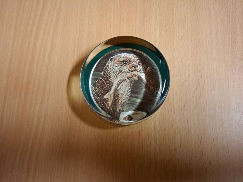 Round Glass Paperweight - Otter with Fish