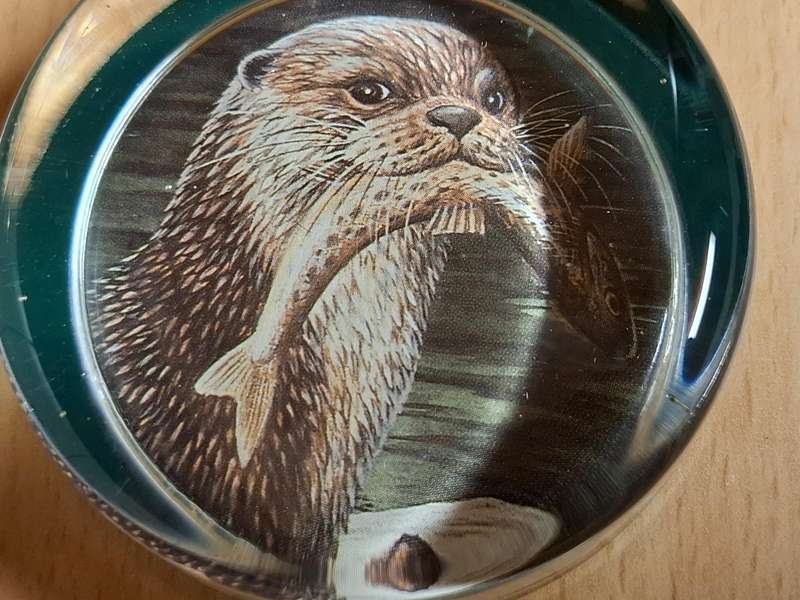 Round Glass Paperweight - Otter with Fish