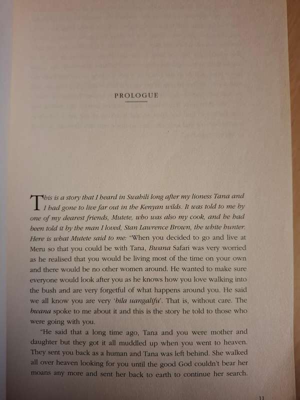 A Lion in My Bedroom : Pat Cavendish O`Neill  (Paperback)