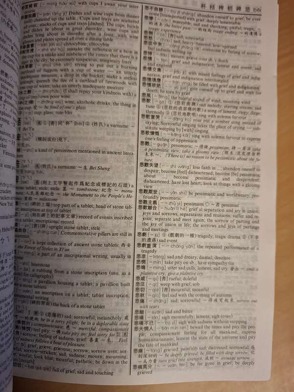 The 21st Century Chinese-English Dictionary  (Paperback)