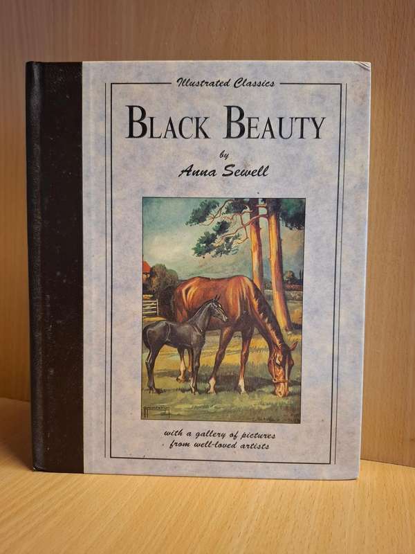 Illustrated Classics - Black Beauty - The Autobiography of a Horse by Anna Sewell  (Hardcover)