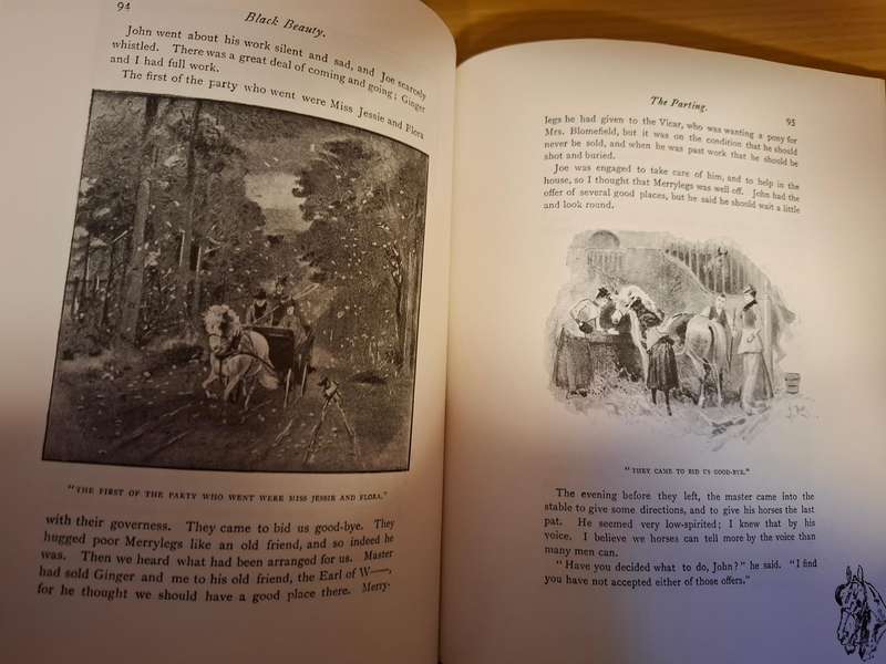 Illustrated Classics - Black Beauty - The Autobiography of a Horse by Anna Sewell  (Hardcover)