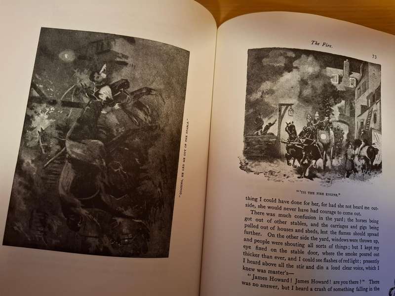 Illustrated Classics - Black Beauty - The Autobiography of a Horse by Anna Sewell  (Hardcover)