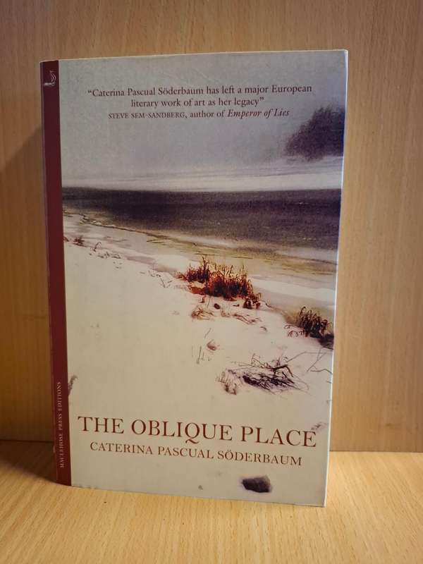 The Oblique Place : Caterina Pascual Soderbaum  (Paperback)