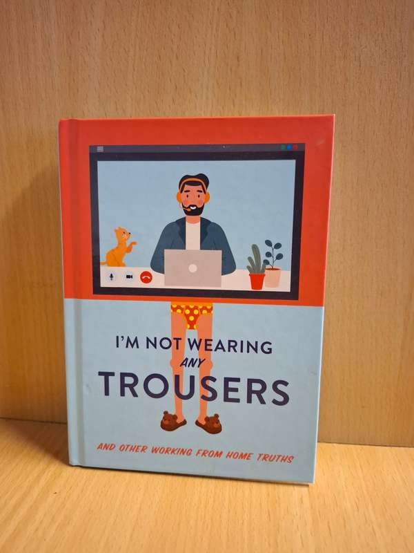 I`m Not Wearing Any Trousers And Other Working From Home Truths  (Hardcover)