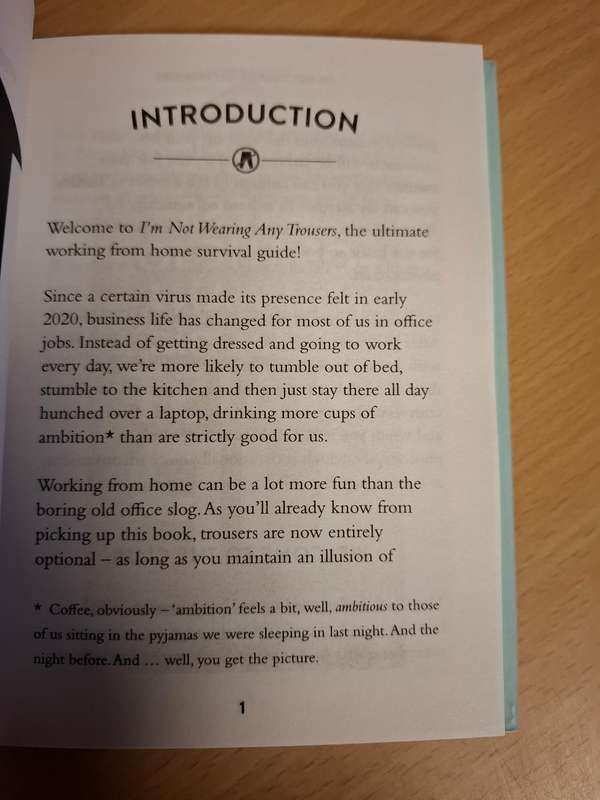 I`m Not Wearing Any Trousers And Other Working From Home Truths  (Hardcover)