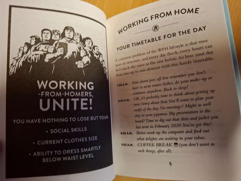 I`m Not Wearing Any Trousers And Other Working From Home Truths  (Hardcover)