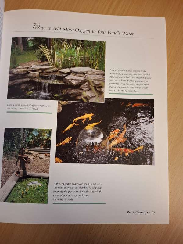 Water Gardening Basics : Helen Nash & Marilyn M. Cook  (Paperback)