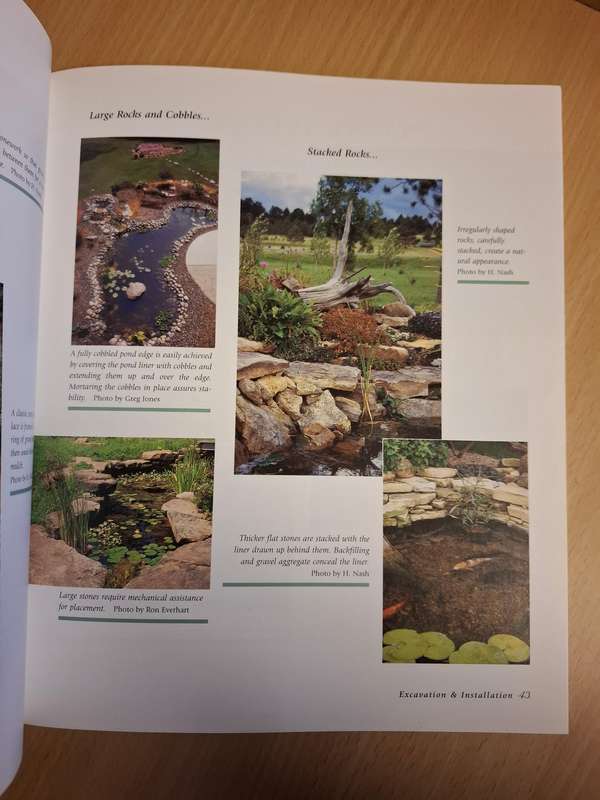 Water Gardening Basics : Helen Nash & Marilyn M. Cook  (Paperback)