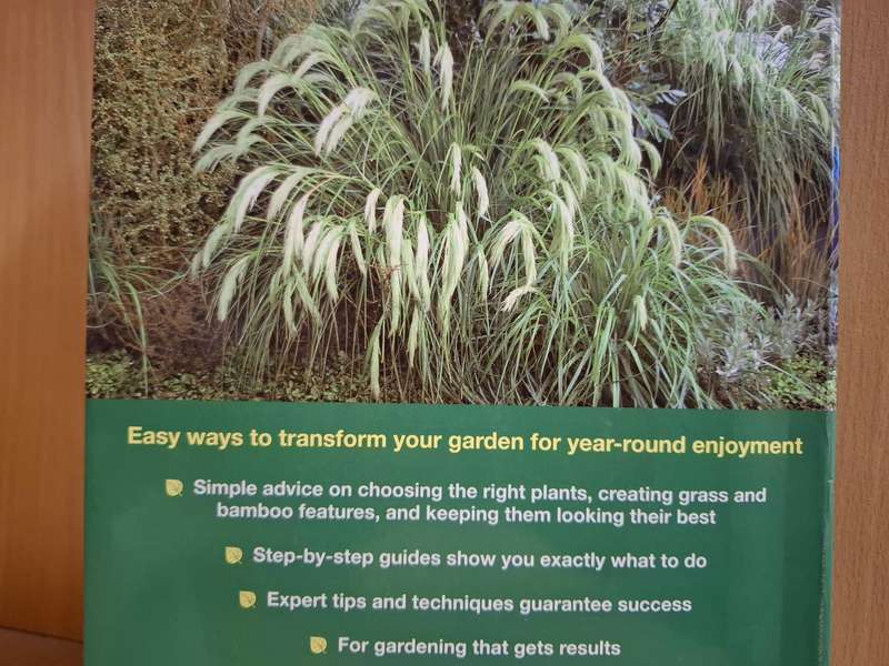 DK - Bamboos and Grasses - Simple Steps to Success  (Paperback)