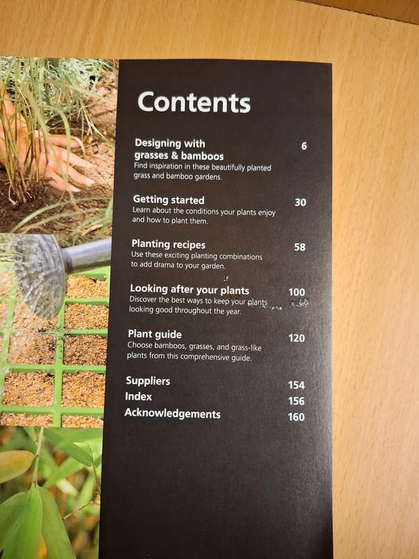 DK - Bamboos and Grasses - Simple Steps to Success  (Paperback)