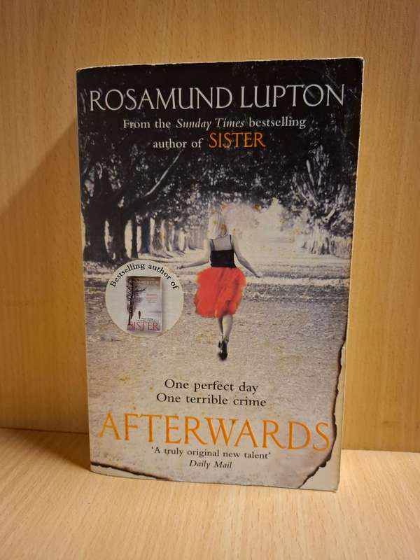 Afterwards : Rosamunde Lupton  (Paperback)