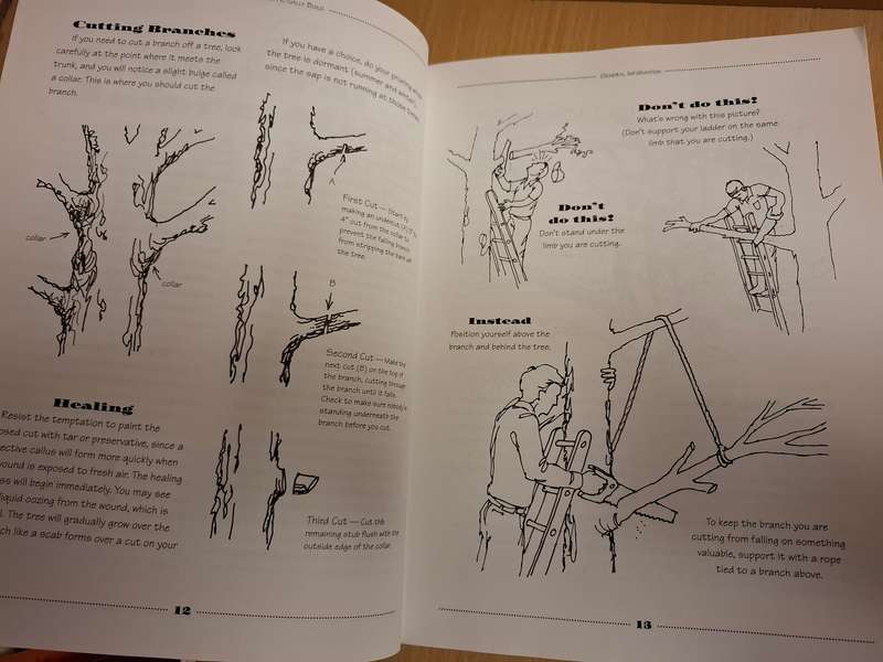 Tree Houses - You can actually build : David & Jeanie Stiles  (Paperback)
