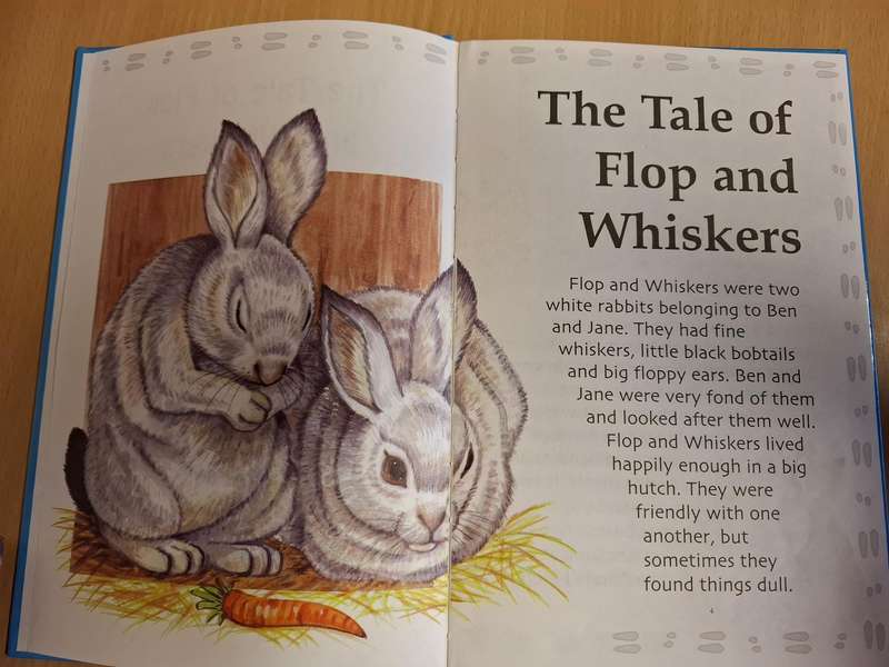 Enid Blyton - The Tale of Hop and Whiskers  (Hardcover)