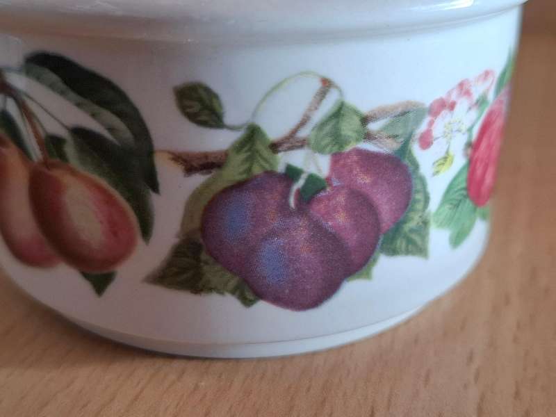Set of 2 Portmeirion - Pomona Ramekins  (Made in Britain)